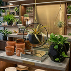 Hanging & Vertical Planters