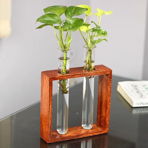 Square Wooden Plant Holder Modern Test Tube Planter| Office/Living Room Decoration Items | Glass Planter for Table Top