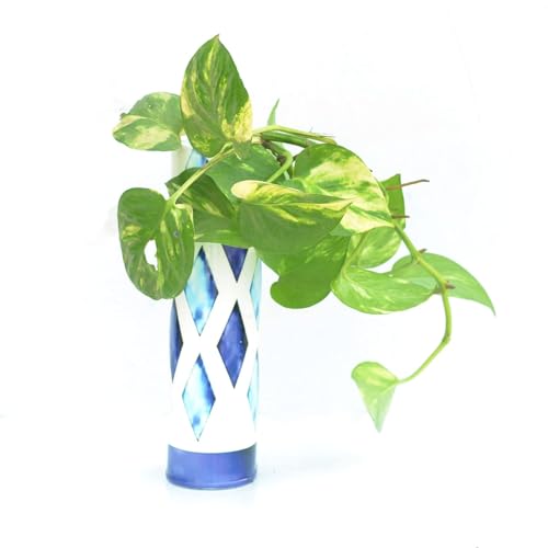 Magnetic Metal Planter for Fridge Plant Holder Vase Rust-Resistant Hydroponic Plant wallstick Vase with Double Magnets for Living Room, / Garden (Blue)