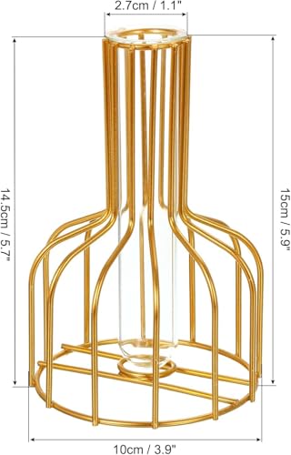 Bottle Golden Frame Small Tube Glass Vases Nordic Vase Gold Solid Metal Stand Vase for Home Decor Living Room, Dining Table, Office (Flower Not Included) Size W-10.5cm L-10.5cm H-15cm