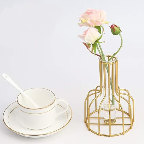Bottle Golden Frame Small Tube Glass Vases Nordic Vase Gold Solid Metal Stand Vase for Home Decor Living Room, Dining Table, Office (Flower Not Included) Size W-10.5cm L-10.5cm H-15cm