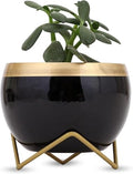 Metal Plant Stand Pot Holder-Indoor Mid Century Modern Plant Holder for House Plants, Home Decor Modern Pot Stand for Indoor Gardening Size 15cm x 15cm x 15cm