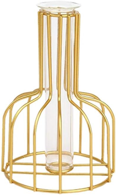 Bottle Golden Frame Small Tube Glass Vases Nordic Vase Gold Solid Metal Stand Vase for Home Decor Living Room, Dining Table, Office (Flower Not Included) Size W-10.5cm L-10.5cm H-15cm