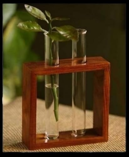 Square Wooden Plant Holder Modern Test Tube Planter| Office/Living Room Decoration Items | Glass Planter for Table Top