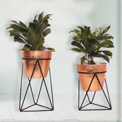 Table Top Planter Set of 2 Metal Plant Stand Flower Pot with Stand | Planter Indoor Office Garden Balcony Living Room Outdoor Plants
