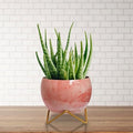 Metal Planters Stand Pot Holder-Indoor Mid Century Modern Plant Holder for House Plants, Home Decor Modern Pot Stand for Indoor Gardening Size 15cm x 15cm x 15cm