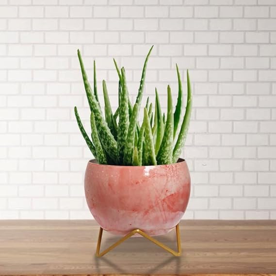 Metal Planters Stand Pot Holder-Indoor Mid Century Modern Plant Holder for House Plants, Home Decor Modern Pot Stand for Indoor Gardening Size 15cm x 15cm x 15cm