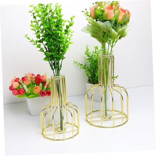 Bottle Golden Frame Small Tube Glass Vases Nordic Vase Gold Solid Metal Stand Vase for Home Decor Living Room, Dining Table, Office (Flower Not Included) Size W-10.5cm L-10.5cm H-15cm