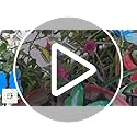 Colorfull Flying Butterfly Stakes 10 pcs,Waterproof Butterfly Stakes Garden Ornaments, Home Decoration Outdoor Courtyard Flower Pot Flower Bed Decorative Butterfly 7X5.5Cm Pack of 10 (Pack of 10)