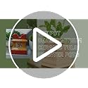 Ceramic Tulsi Planter Pots Square Flower Pot Drainage Hole Plant Indoor Outdoor Holy Basil Planters with Lamp Holder Thulasi Vrindavan Gamla (6.6 Yellow)