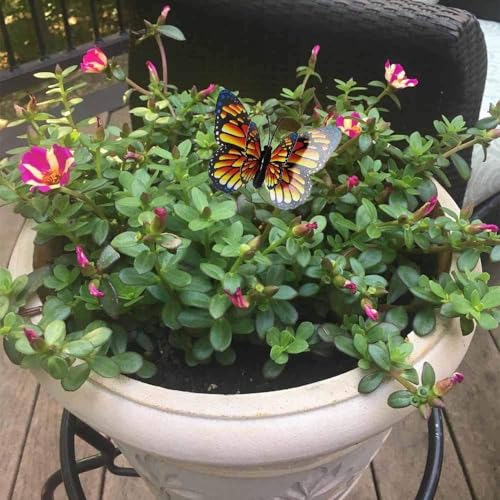 Colorfull Flying Butterfly Stakes 10 pcs,Waterproof Butterfly Stakes Garden Ornaments, Home Decoration Outdoor Courtyard Flower Pot Flower Bed Decorative Butterfly 7X5.5Cm Pack of 10 (Pack of 10)