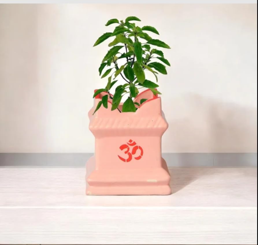Medium Ceramic Tulsi Planter Small 6inch Pots Square Flower Pot Drainage Hole Plant Indoor Outdoor Holy Basil Planters Medium Thulasi Vrindavan Gamla (6 Inch Pink)
