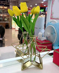 Star Shape Golden Frame Small Tube Glass Vases Nordic Vase Gold Solid Metal Stand Vase for Home Decor Living Room, Dining Table, Office (Flower Not Included)