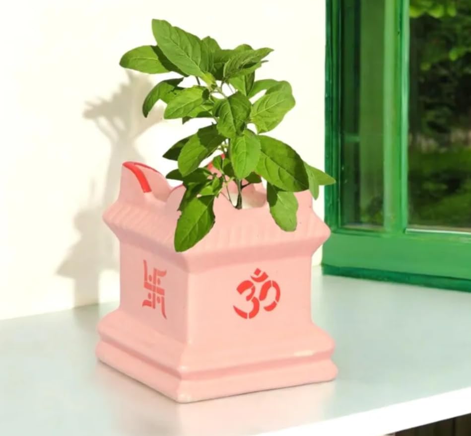 Medium Ceramic Tulsi Planter Small 6inch Pots Square Flower Pot Drainage Hole Plant Indoor Outdoor Holy Basil Planters Medium Thulasi Vrindavan Gamla (6 Inch Pink)