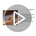 Mini Nest Bird Miniature | Artificial Mini Birds with Nest Showpiece for Home Living Room Office Restaurant Fairy Garden Decoration Bird Toys H-1cm w- 2cm (Set of 2)