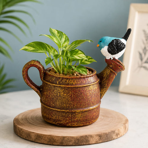 Bird Sprout Planter