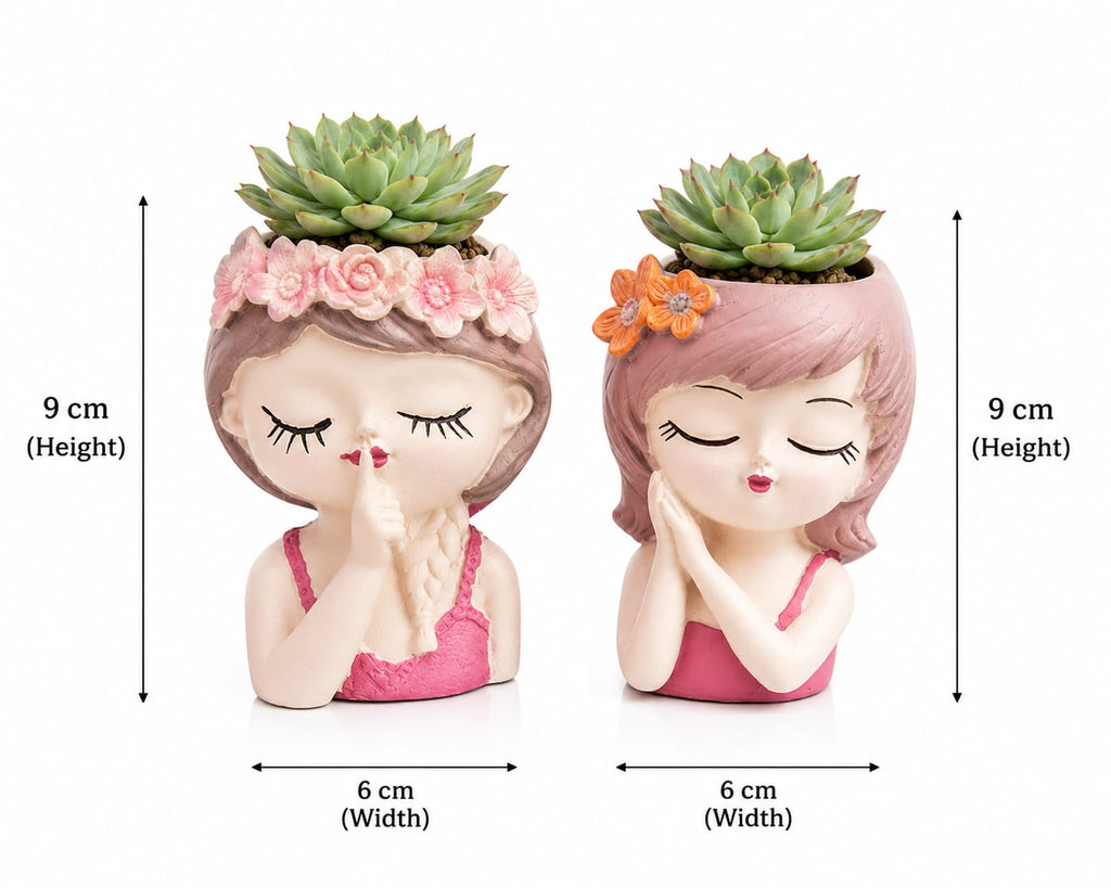 Baby Girl Succulent Planter