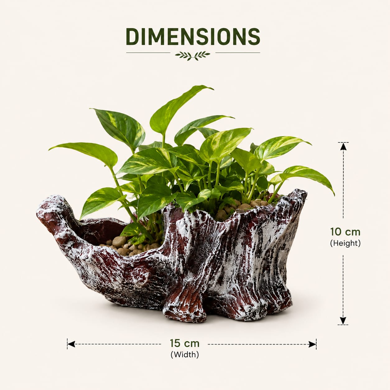 Rustic Charm Planter