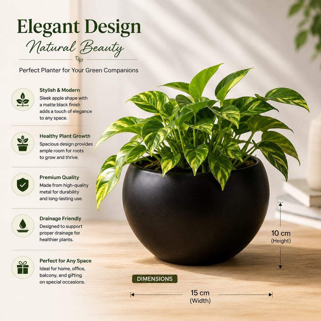 Metal Apple Pots