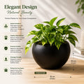 Metal Apple Pots