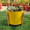 Flower Pot With Wooden Stand
