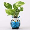 Owl Shape Resin Planter