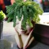 Girl Face Planter Plant Flower Pot Resin