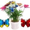 Colorfull Flying Butterfly Stakes 10 pcs